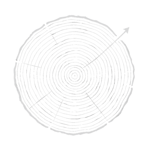 Insights & Reporting